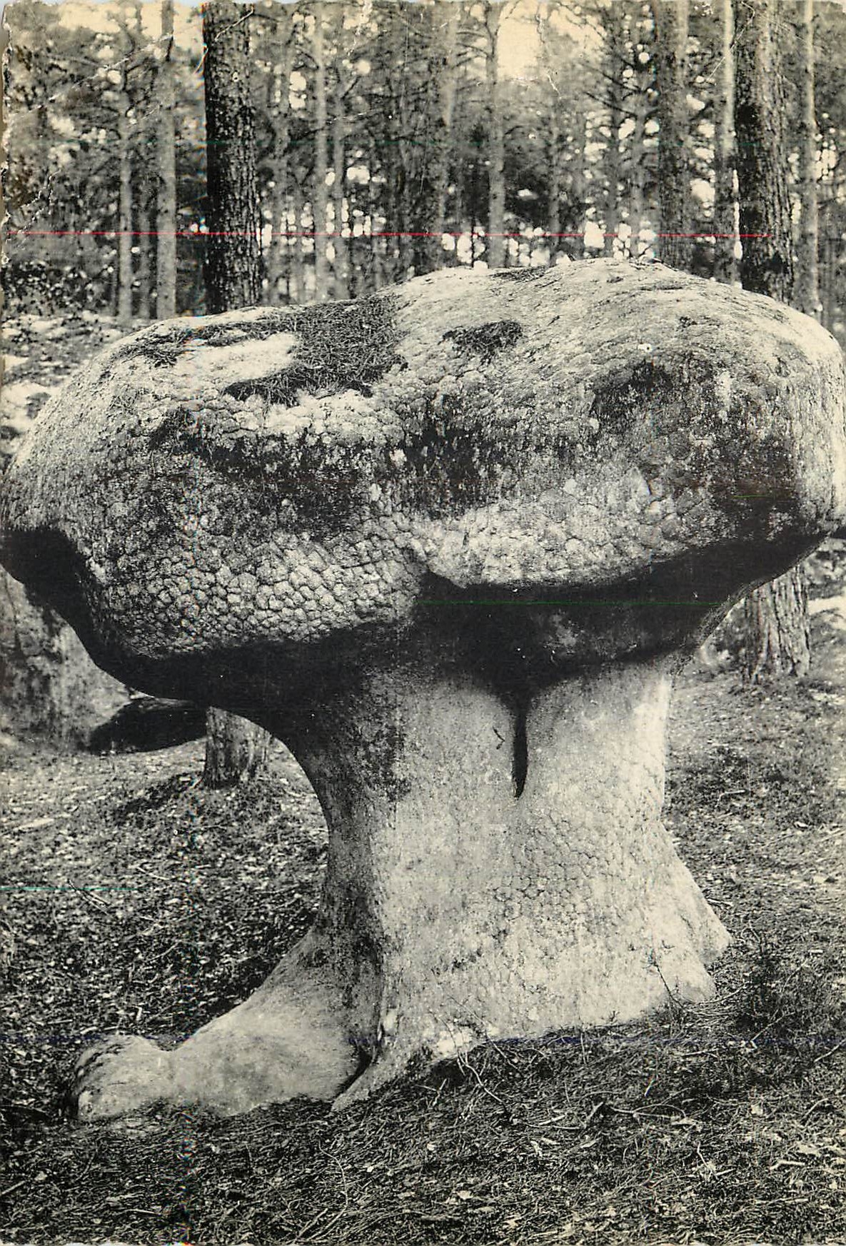 Le Champignon d'Apremont — Forêt de Fontainebleau — Imp. Phot. L. Ménard, série 146 - Recto