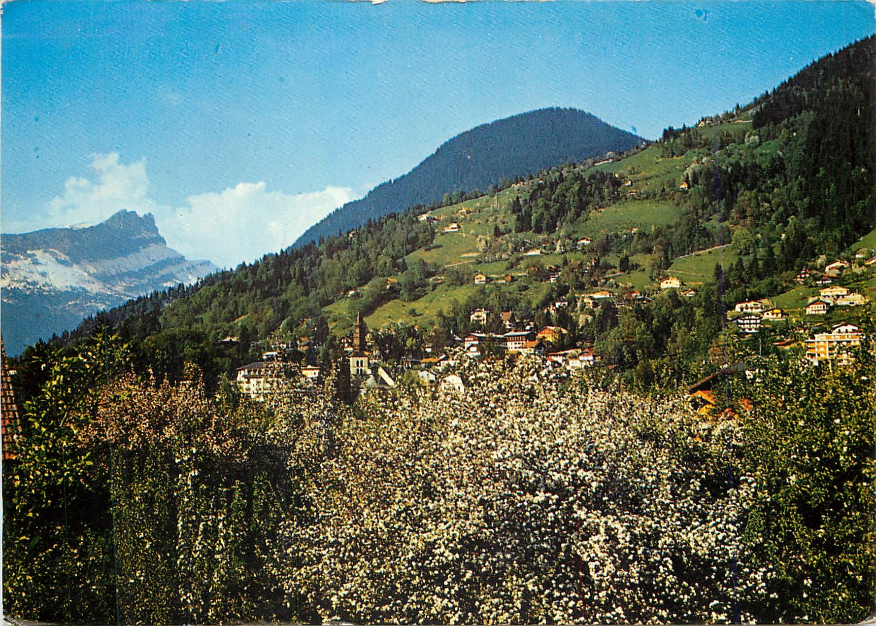 St-Gervais - Vue générale et les Aiguilles de Varens — Éditions JANSOL, 1215