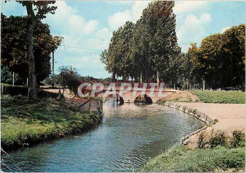 CPM Le Val de Loire Chouzy sur Cisse Loir et Cher 