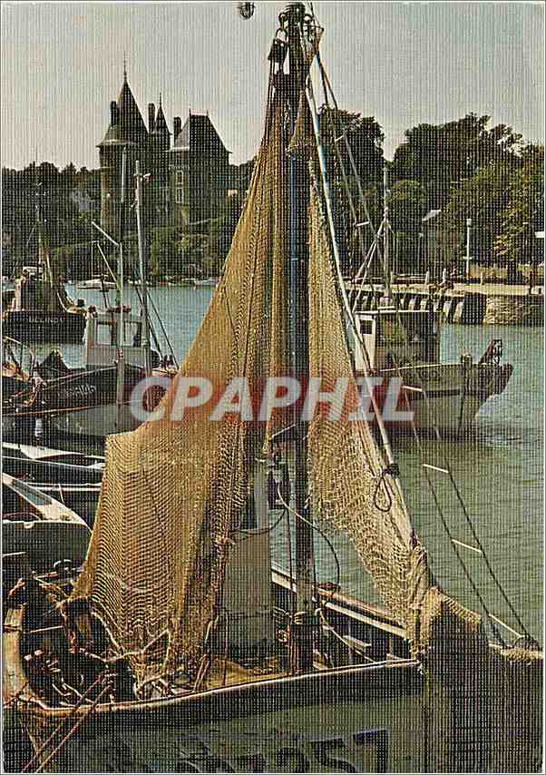 CPM Pornic Port de Peche et Chateau 