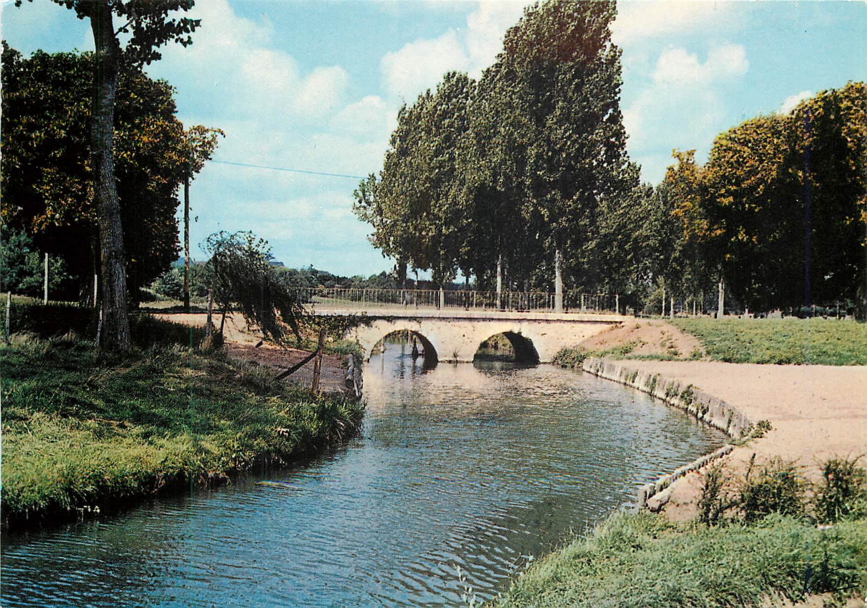 CPM Le Val de Loire Chouzy sur Cisse Loir et Cher 