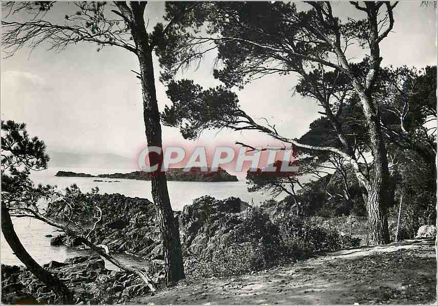 CPM La Corniche d'Or St Raphael Var Le Lion de Terre vu du Parc Santa Lucia 