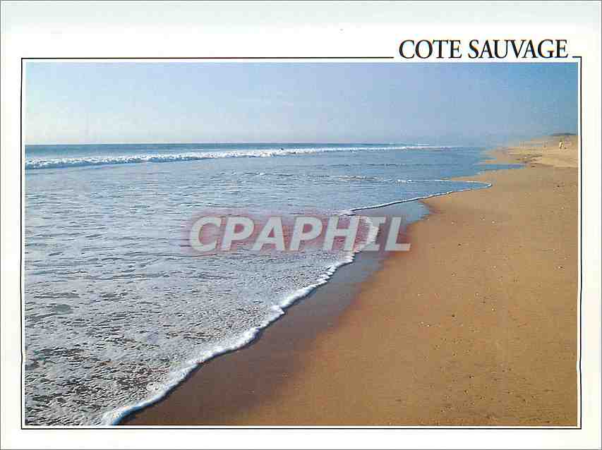 CPM Cote Sauvage 