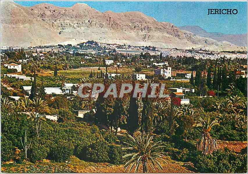 CPM Jericho Ville des palmiers dans la Vallee du Jourdain 
