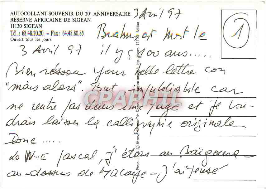 CPM Reserve Africane Sigean SIGEAN Zebre Zoo — Verso