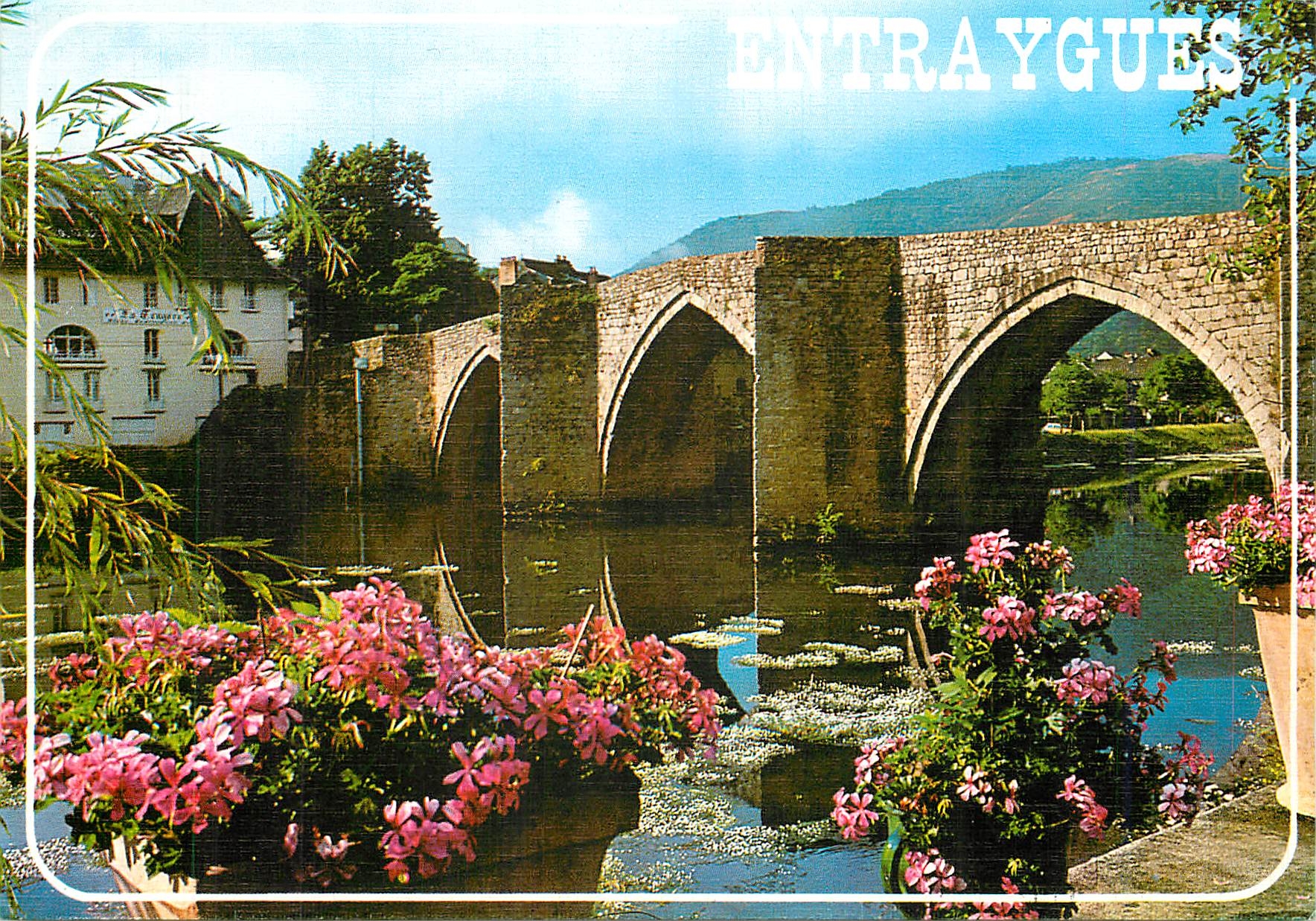CPM Dans la vallee du Lot Entraygues Aveyron Le pont Gothique sur la Truyere 
