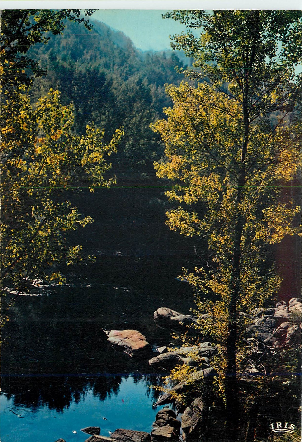 CPM Environs d'Entraygues sur Truyere Aveyron Les Gorges du Lot 