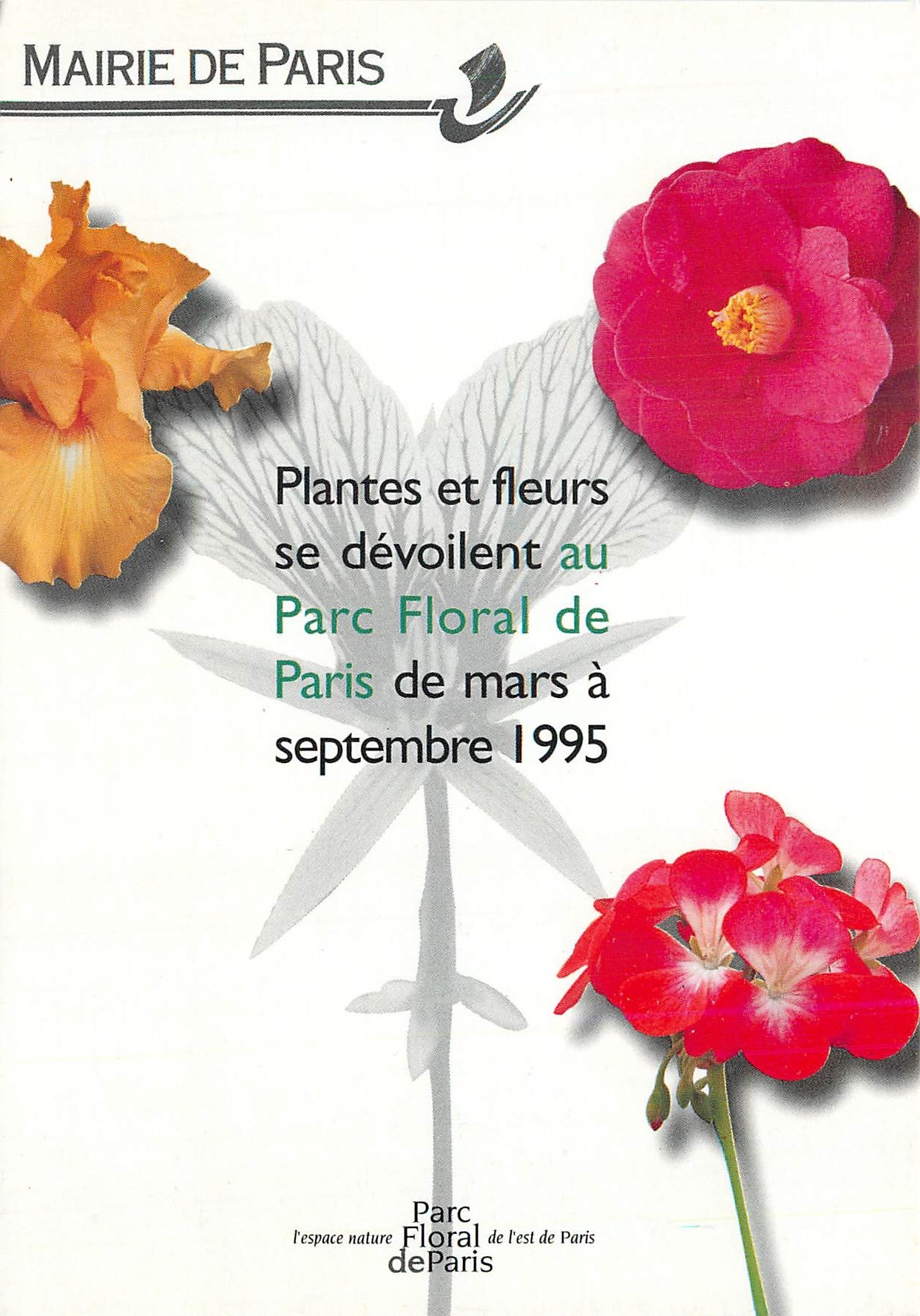 CPM Mairie de Paris Plantes et fleurs se devoilant au Parc Floral de Paris 