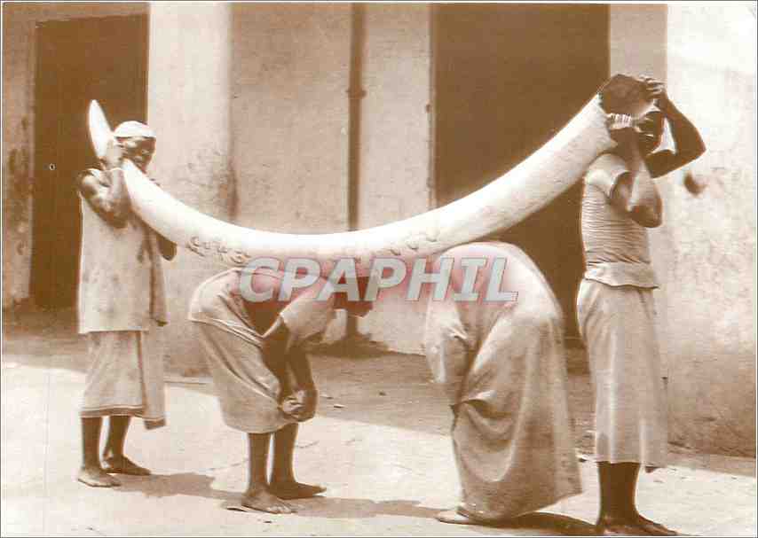 CPM One of the major commodities of trade was ivory transported by human porters from the interior o