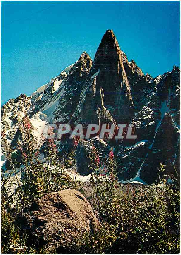 CPM Chamonix Mont Blanc Hte Savoie Fier et majestueux le Dru 