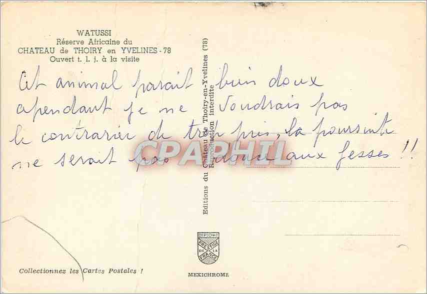 CPM Watussi Reserve Africaine du Chateau de Thoiry en Yvelines  — Back