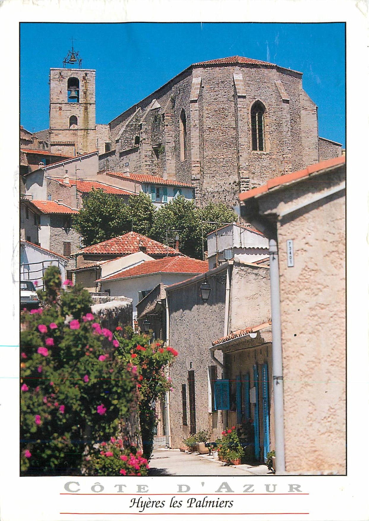 CPM Cote d'Azur Hyeres les Palmiers 