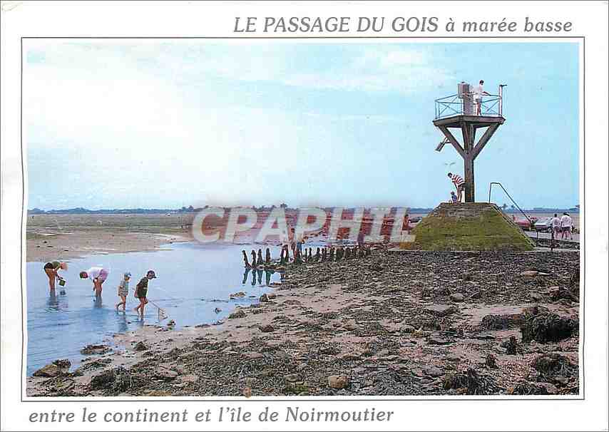 CPM Le Passage du Gois a maree basse entre le continent et l'ile de Noirmoutier 