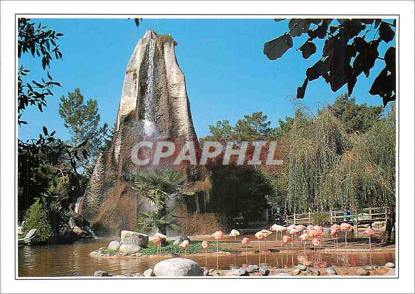 CPM Zoo de la Palmyre Le Rocher et les flamants roses 