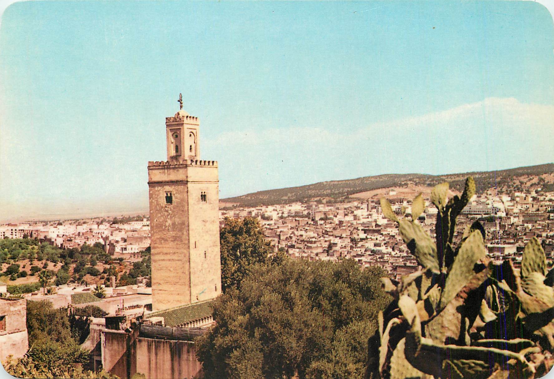 CPM Royaume du Maroc Fez au creux de tes douces collines 