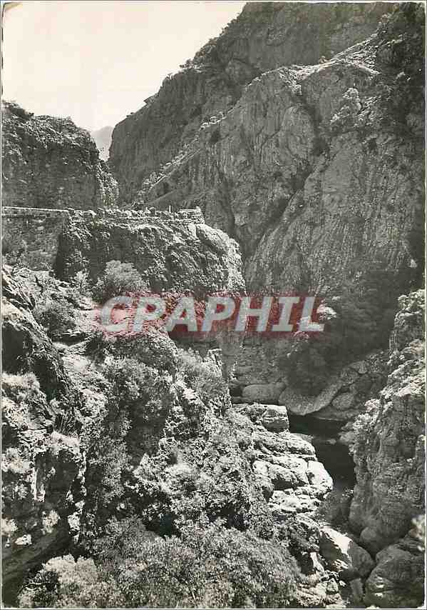 CPM La Corse Ile de Beaute Route de Ghisoni a Ghisonaccia 