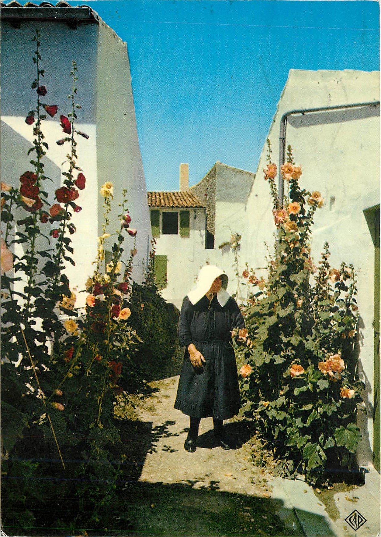 CPM Femme en Kiss not dans la ruelle fleurie de l'Ile 