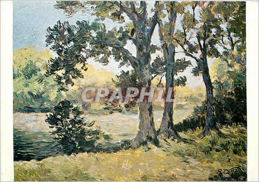 CPM Peinture de Roger Colle Etang en Gatine 