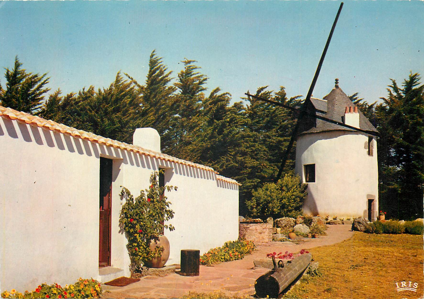 CPM Le Moulin du Calvaire L'Ile d'Yeu 