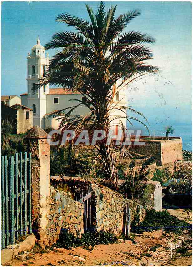 CPM La Corse oasis de Beaute Cargese L'Eglise latine 