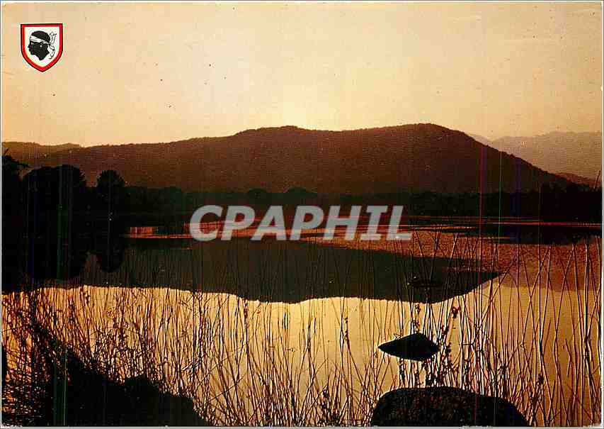 CPM Corse Ile d'Amour Aube sur Villata 