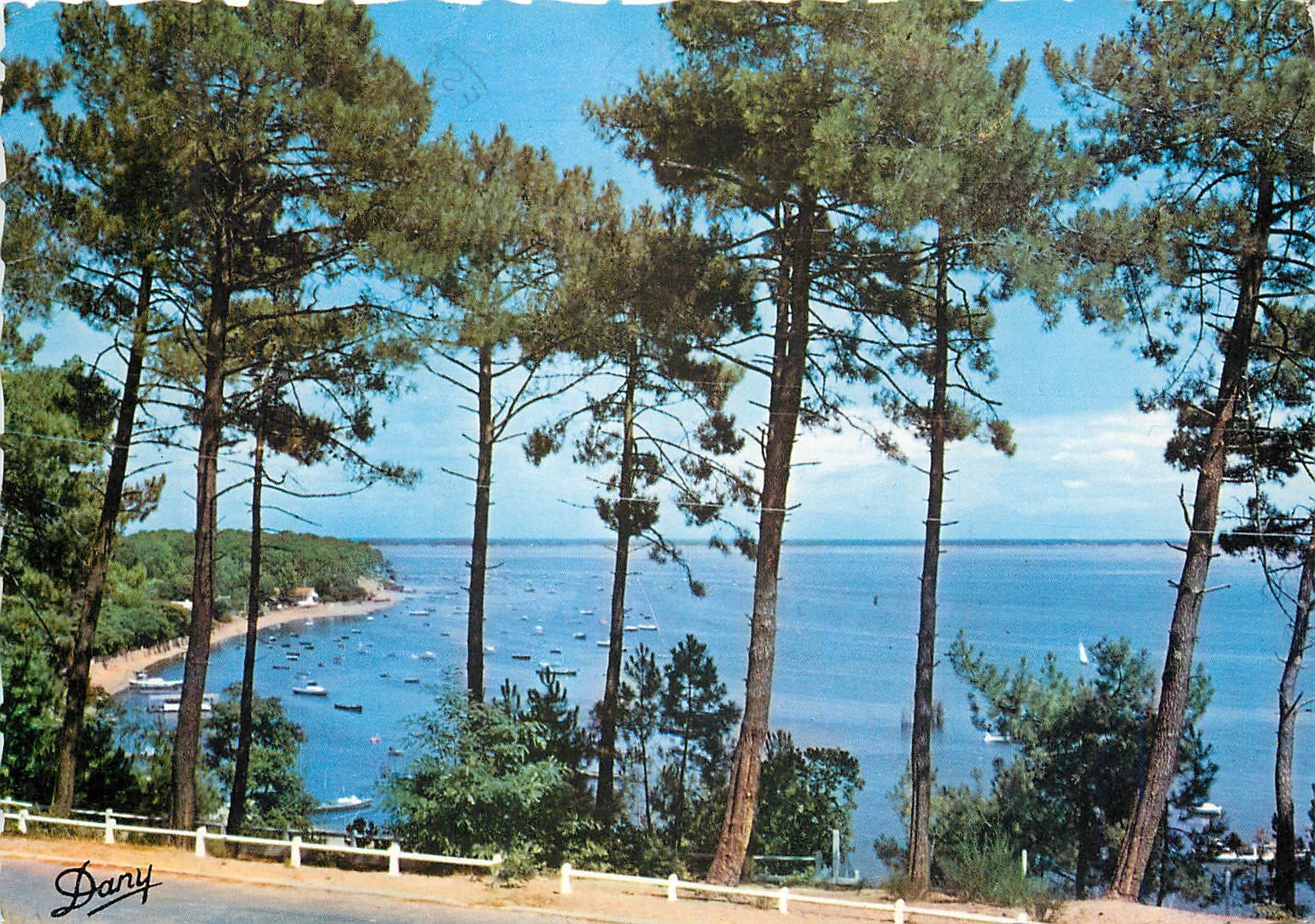 CPM Bassin d'Arcachon Gironde La pointe aux chevaux 