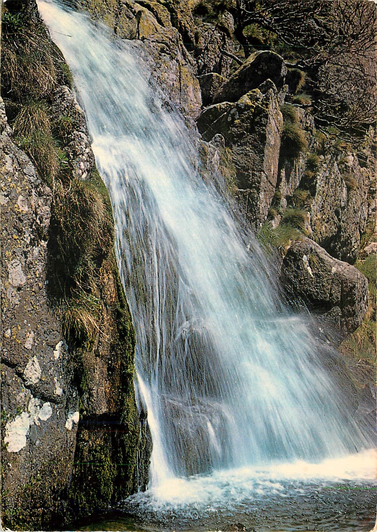 CPM Le Massif du Mont Aigoual La Cascade de l'Orgon au Col du Minier 