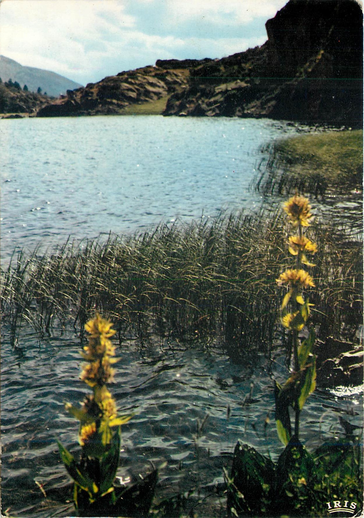 CPM La Cerdagne Francaise Les Lacs du Carlitte Lac de Pradeille 