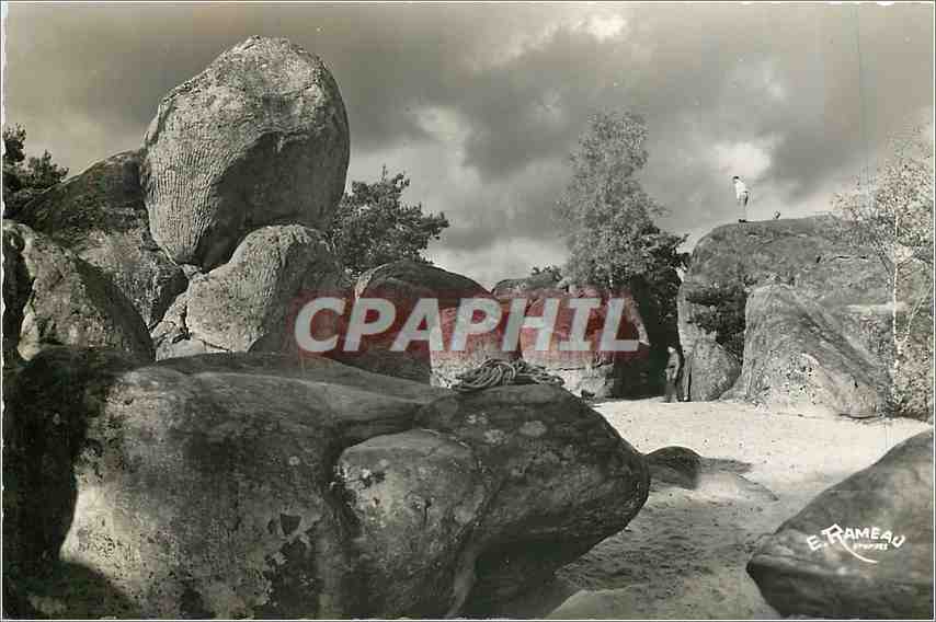 CPM Malesherbes Loiret Les Roches 