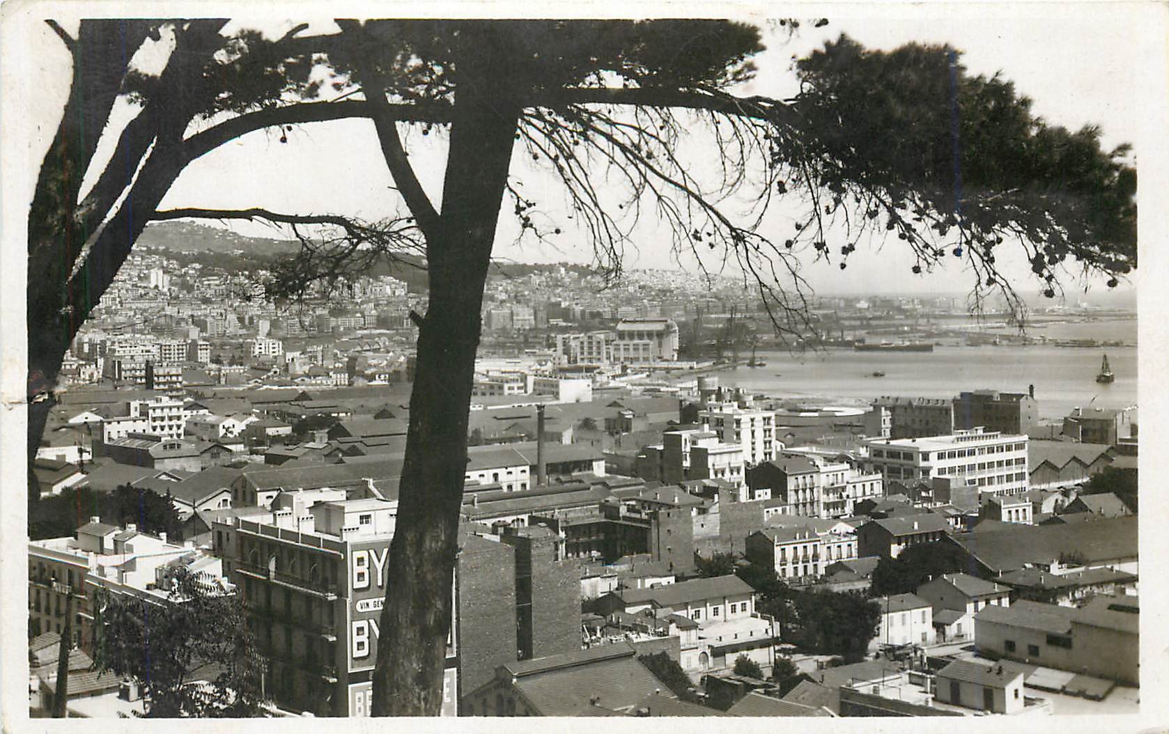 CPM Alger Le Ilama Vue generale sur Alger 