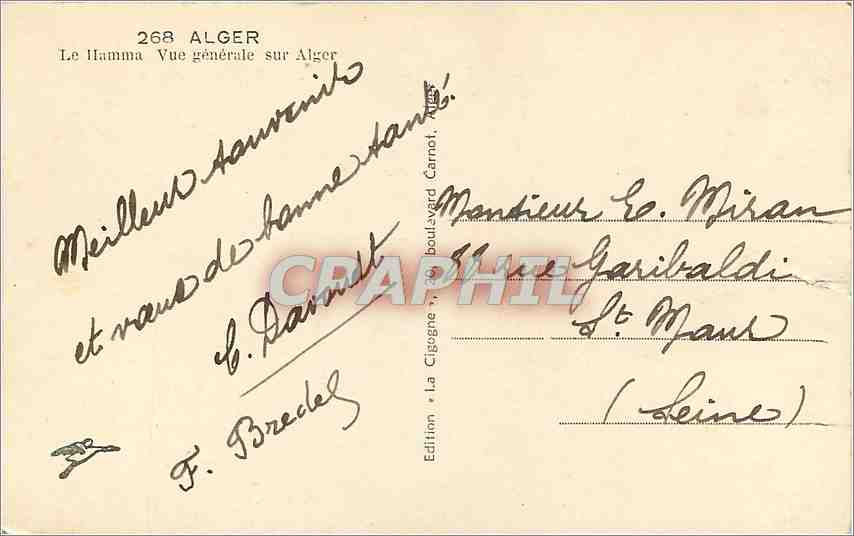 CPM Alger Le Ilama Vue generale sur Alger  — Rückseite