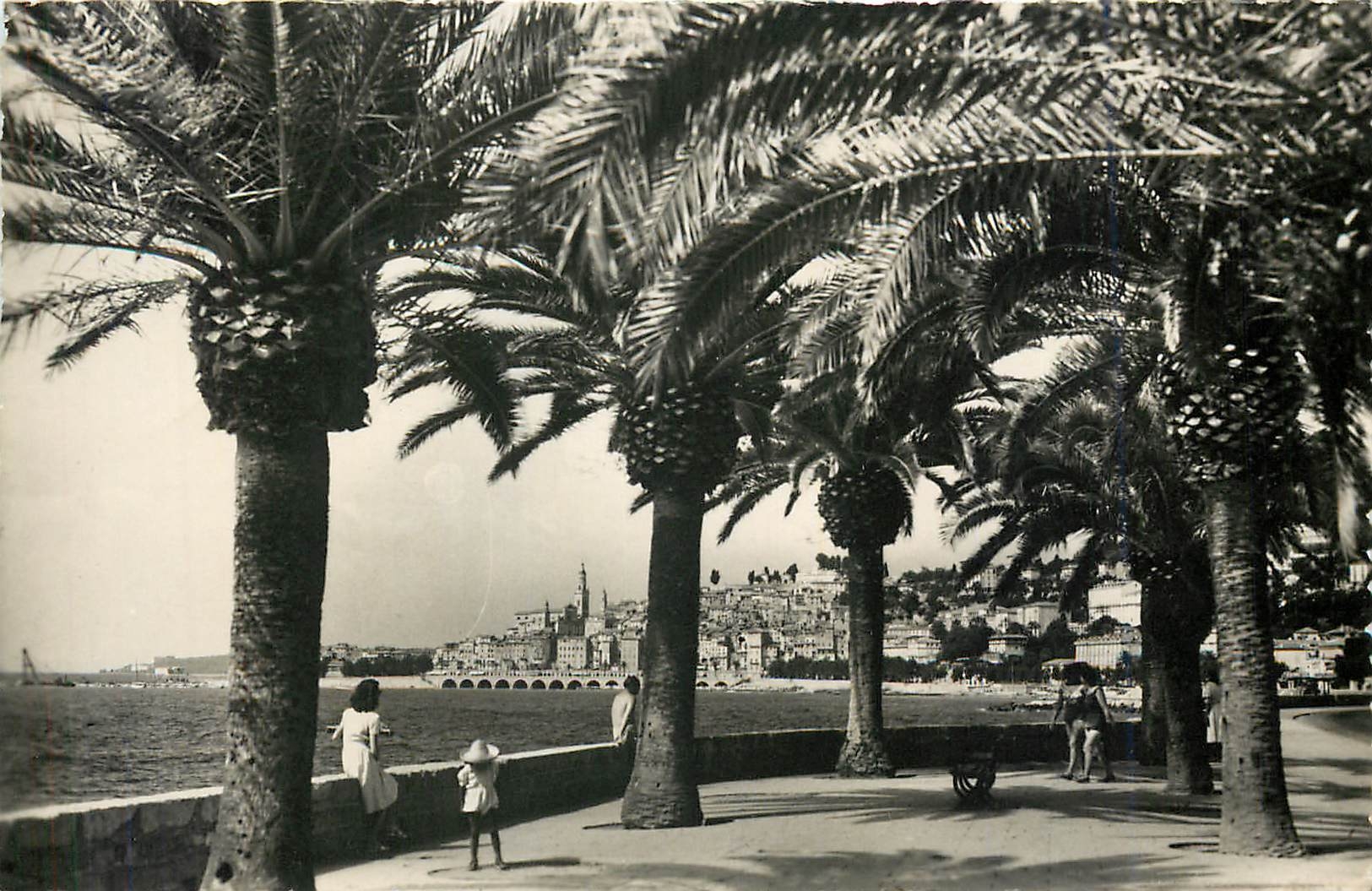 CPM Menton Vue Generale et Allee de Palmiers 