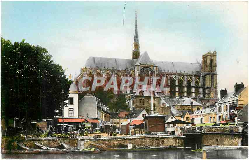 CPM Amiens Somme La Cathedrale et le Marche sur l'Eau 