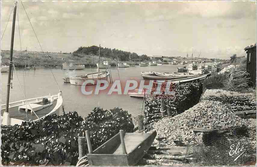 CPM Marennes Charente Maritime La Cayenne Le Port Bateaux