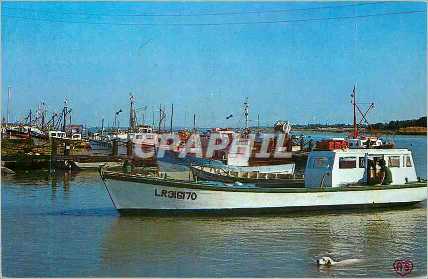 CPM L'Aiguillon sur Mer Vendee Le Port Bateau