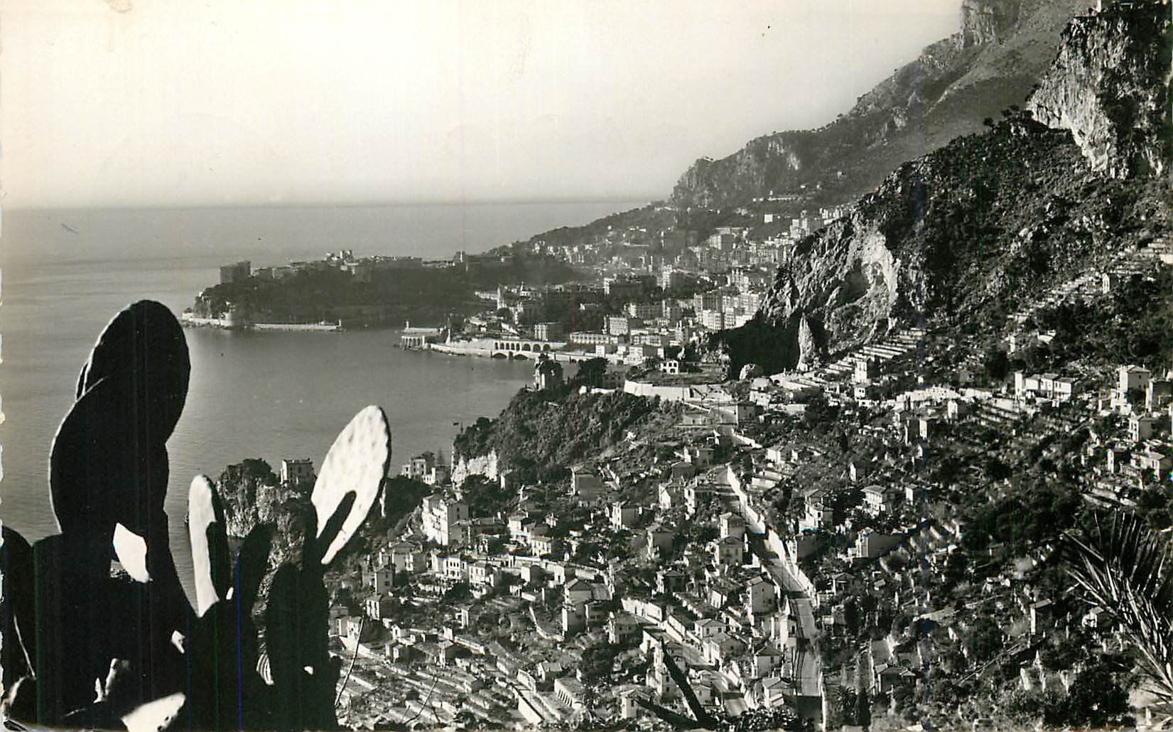 CPM Roquebrune Cap Martin Vue Generale Au fond Monte Carlo et le Rocher de Monaco 