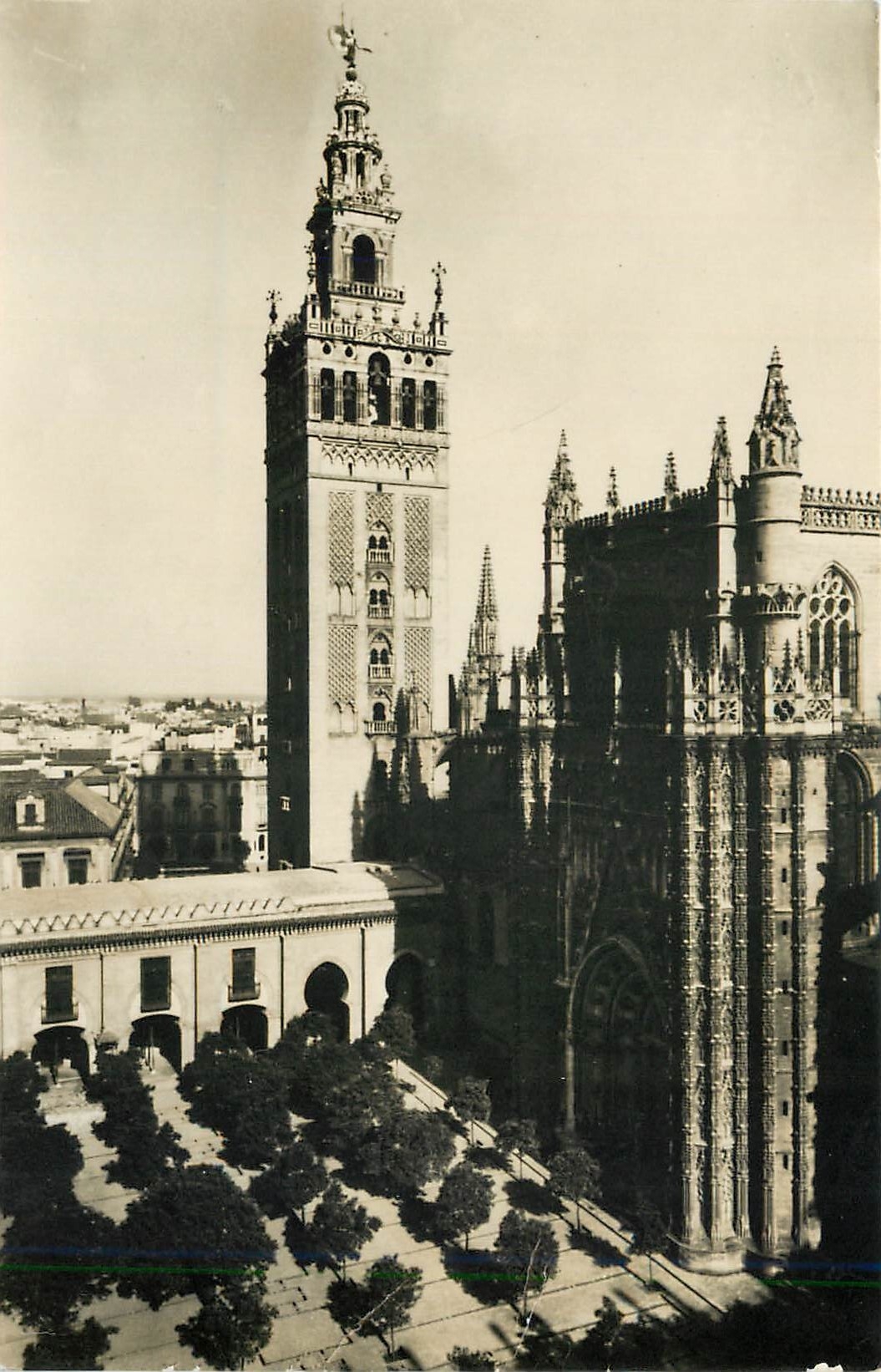 CPM Sevilla Orange Crees Court and Cathedral 
