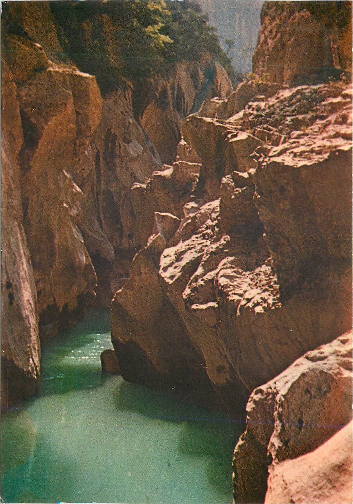 CPM Gorges du Verdon Haute Provence Un des sites les plus grandioses du Monde 
