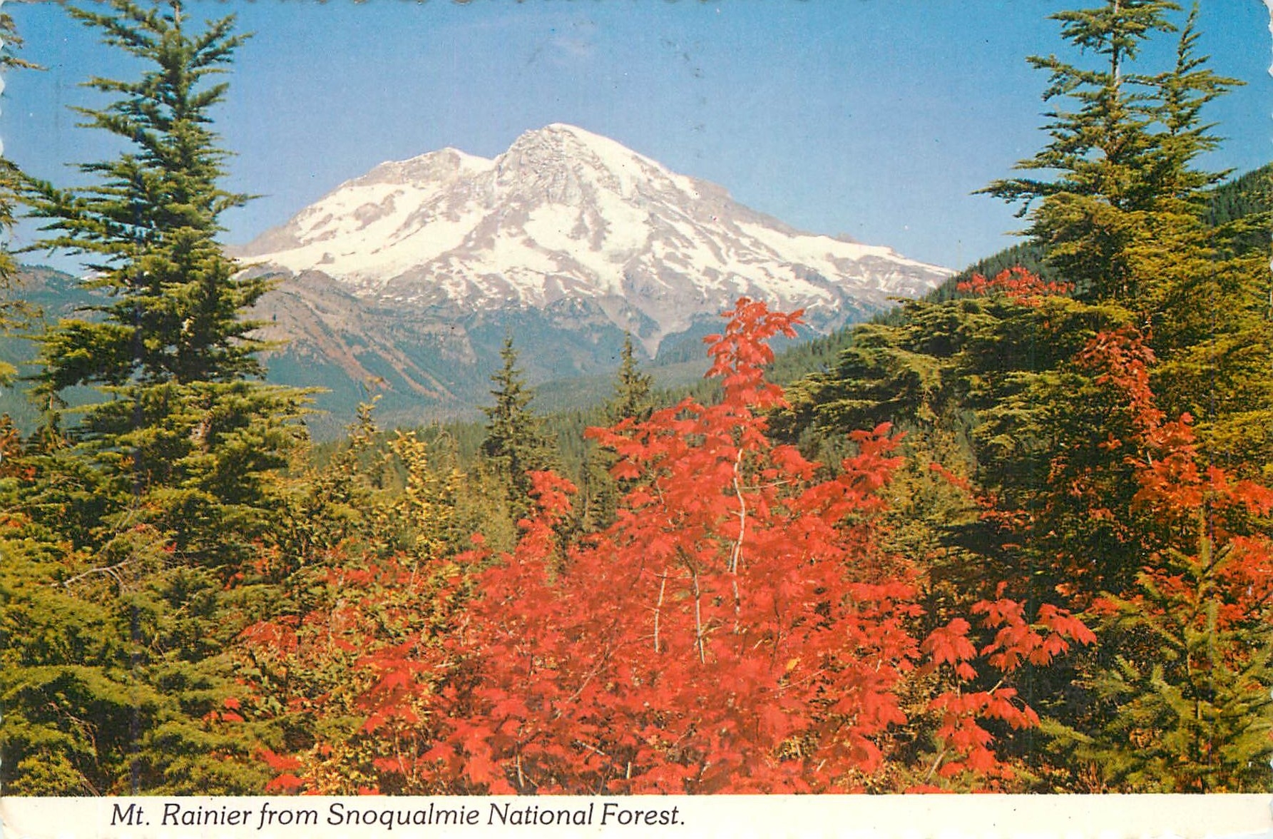 CPM Mount Rainier National Park Washington State 