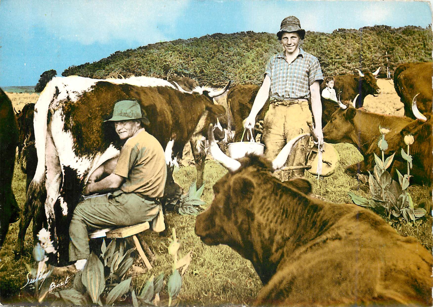 CPM La Traite en Montagne Vaches Folklore