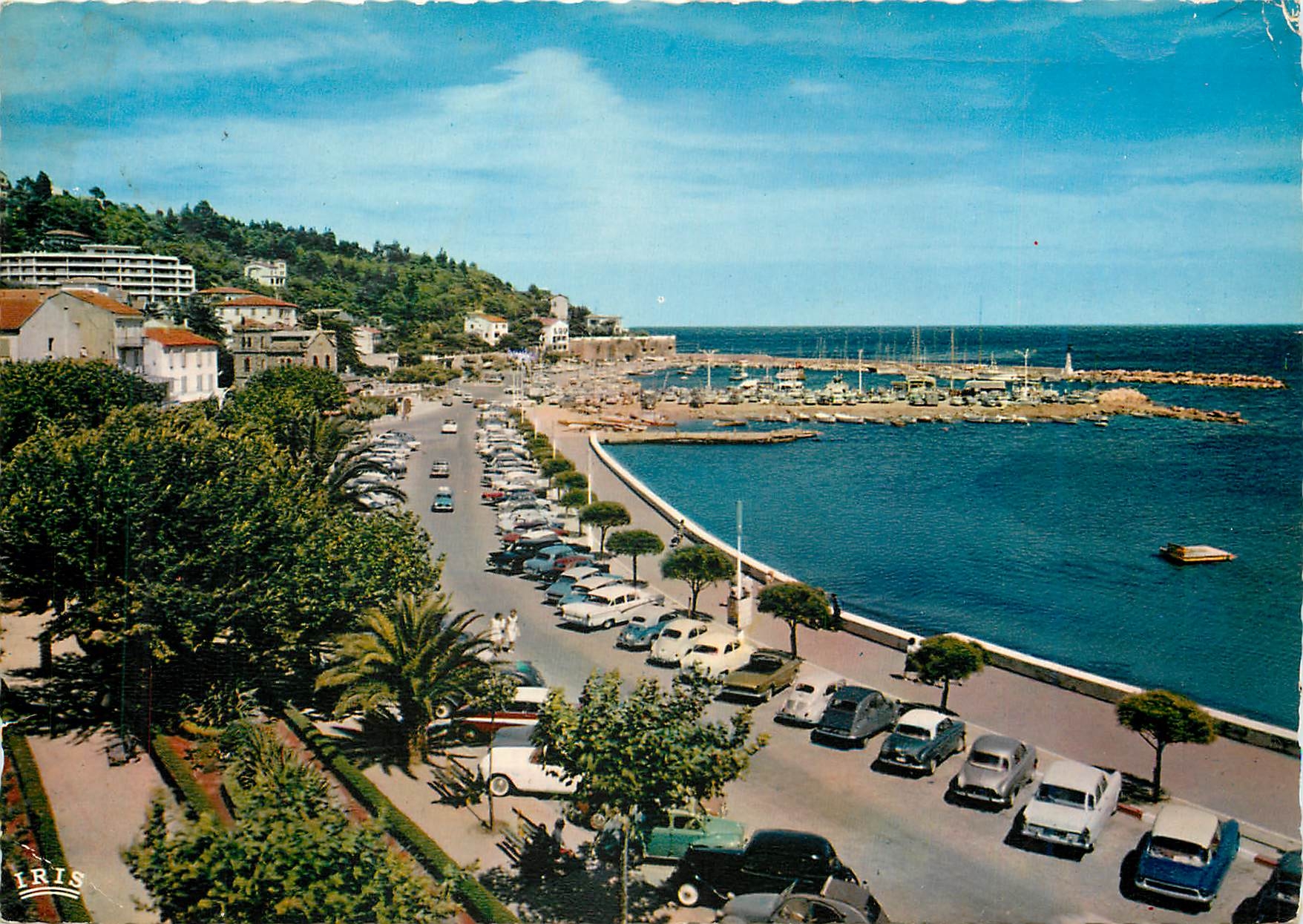 CPM Le Lavandou Var Les Terrasses et le Port 