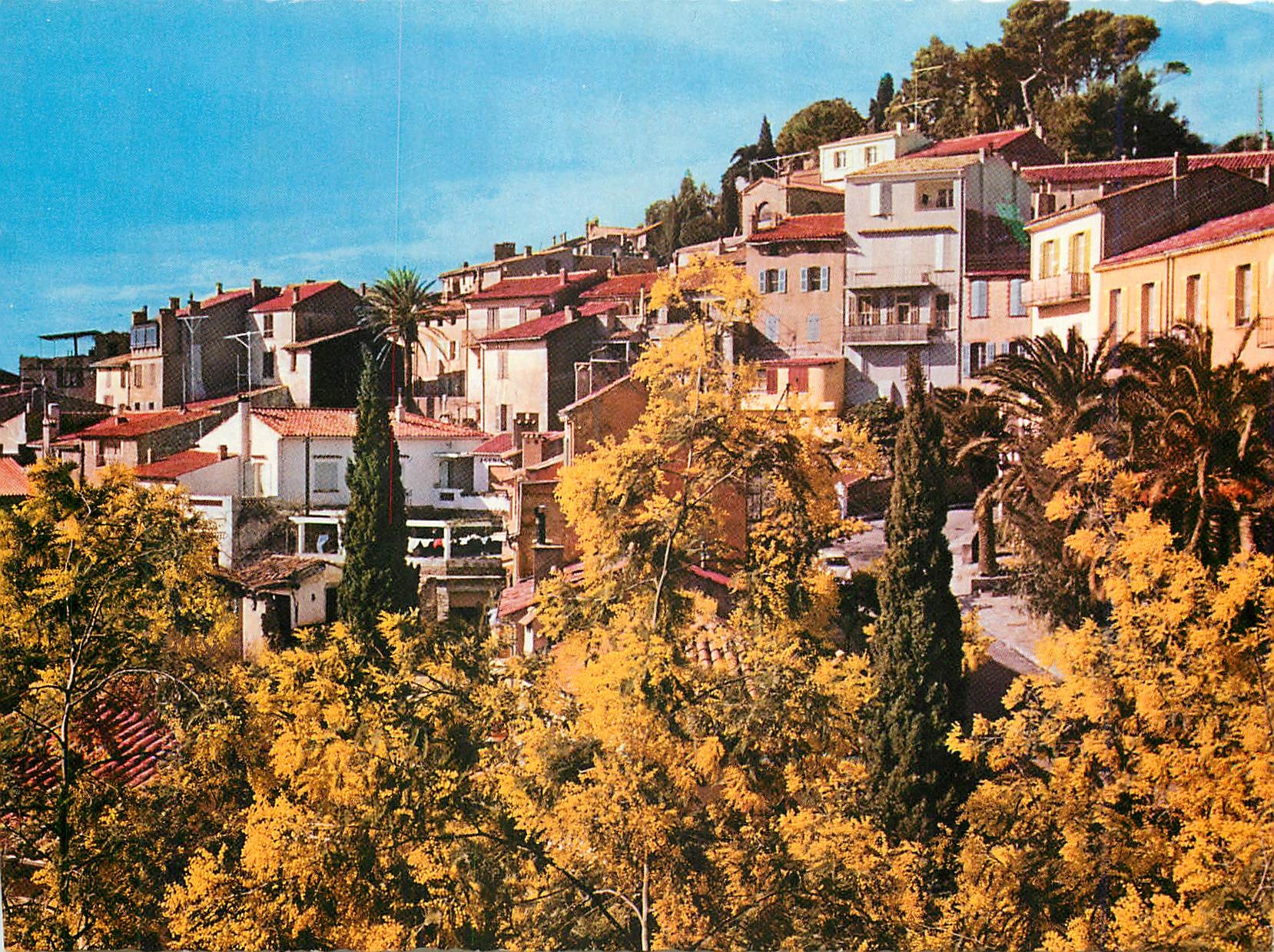 CPM Bormes les Mimosas Var Le Village fleuri de la Cote d'Azur 