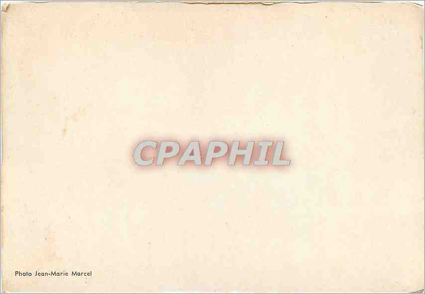 CPM Photo Jean Marie Marcel General de Gaulle — Rückseite