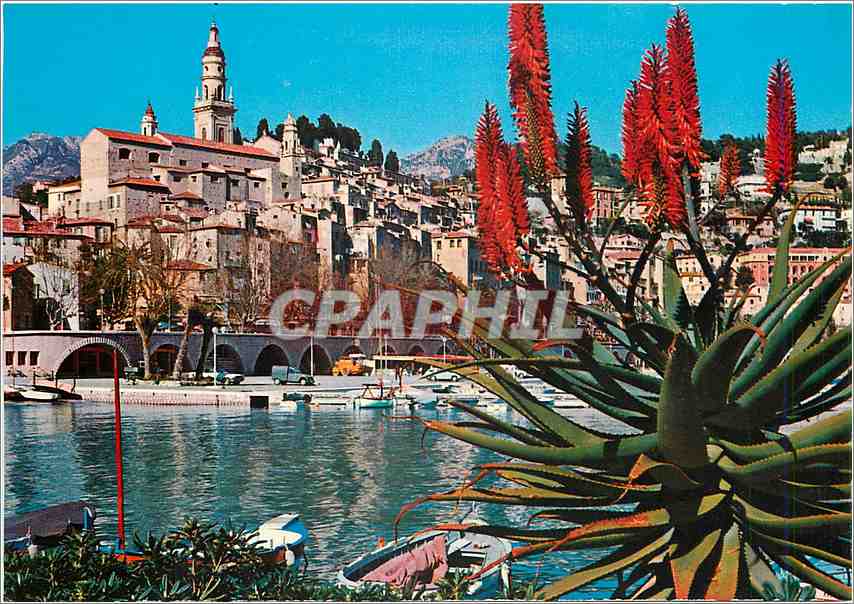 CPM Cote d'Azur Menton Le Port et la Vieille ville 