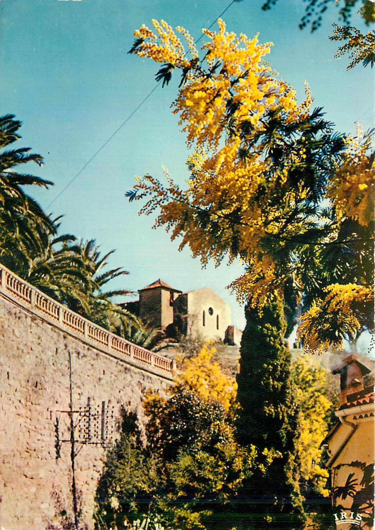 CPM Bormes les Mimosas Var La Chapelle 