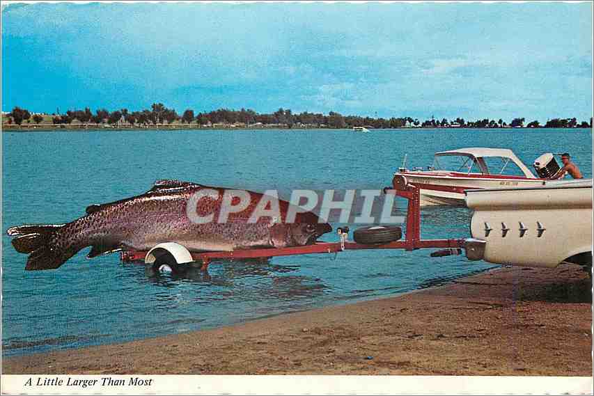 CPM A Little Larger than Most Poisson Truite Bateau