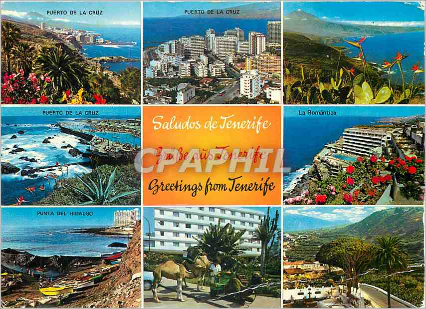 CPM Greetings from Tenerife Puerto de la Cruz 