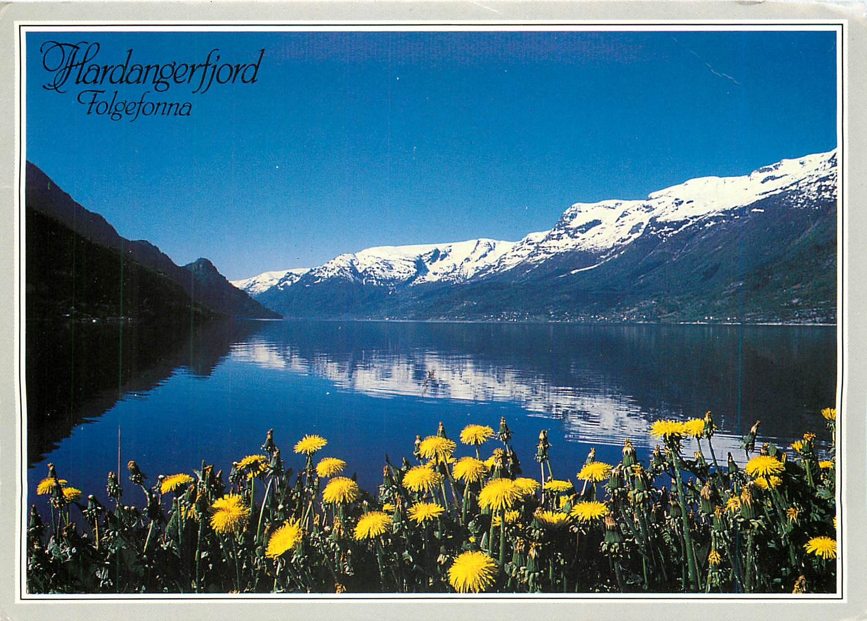 CPM Norge Hardangerfjord mot Folgefonna 