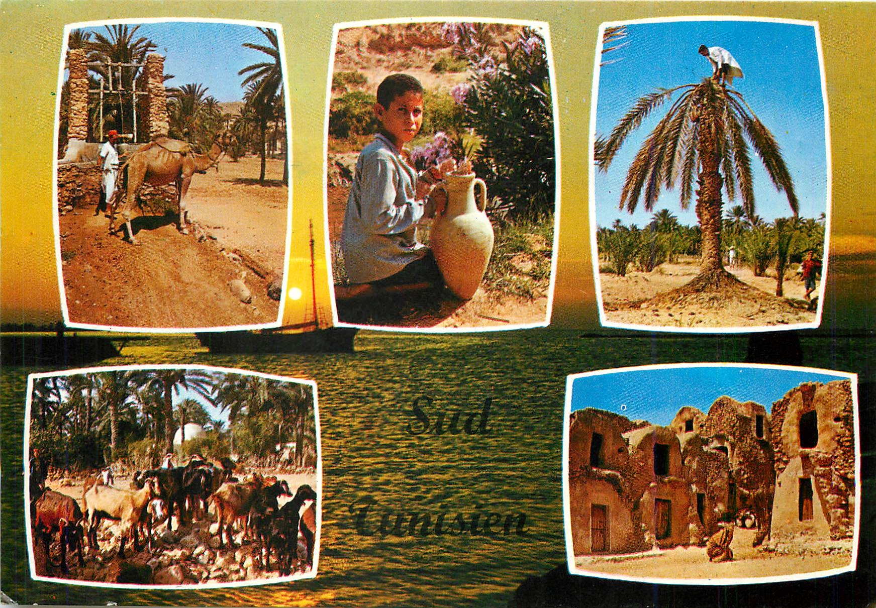 CPM Vues Pittoresque du Sud Tunisien 