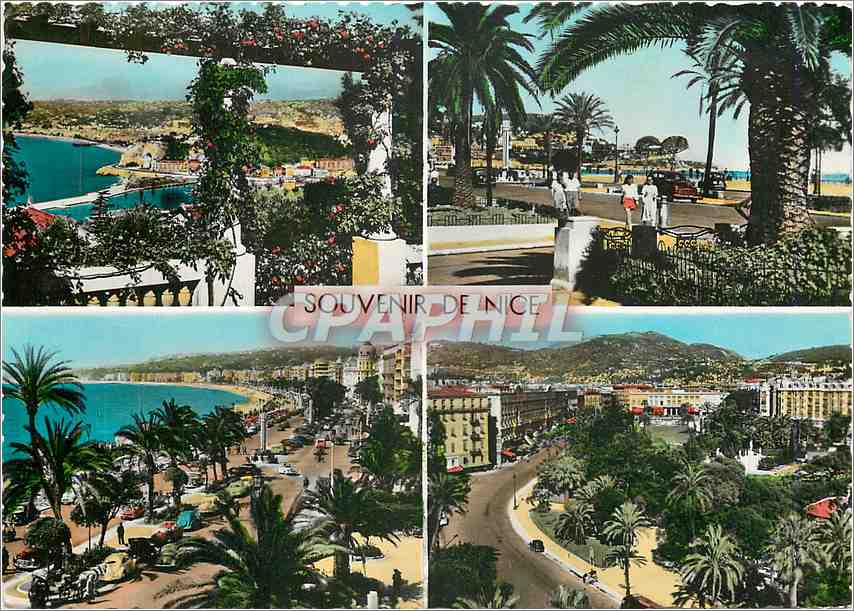 Nice — vue panoramique et palmiers — Souvenir de Nice, éd. L. Gilletta & Cie, n°180